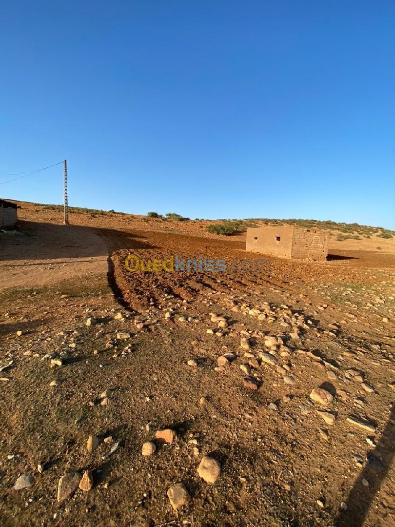 Vente Terrain Tlemcen Sidi abdelli