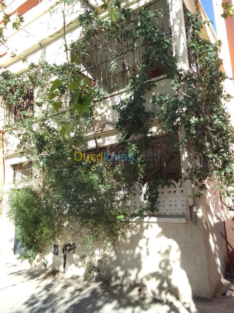 Vente Niveau De Villa F5 Blida Blida