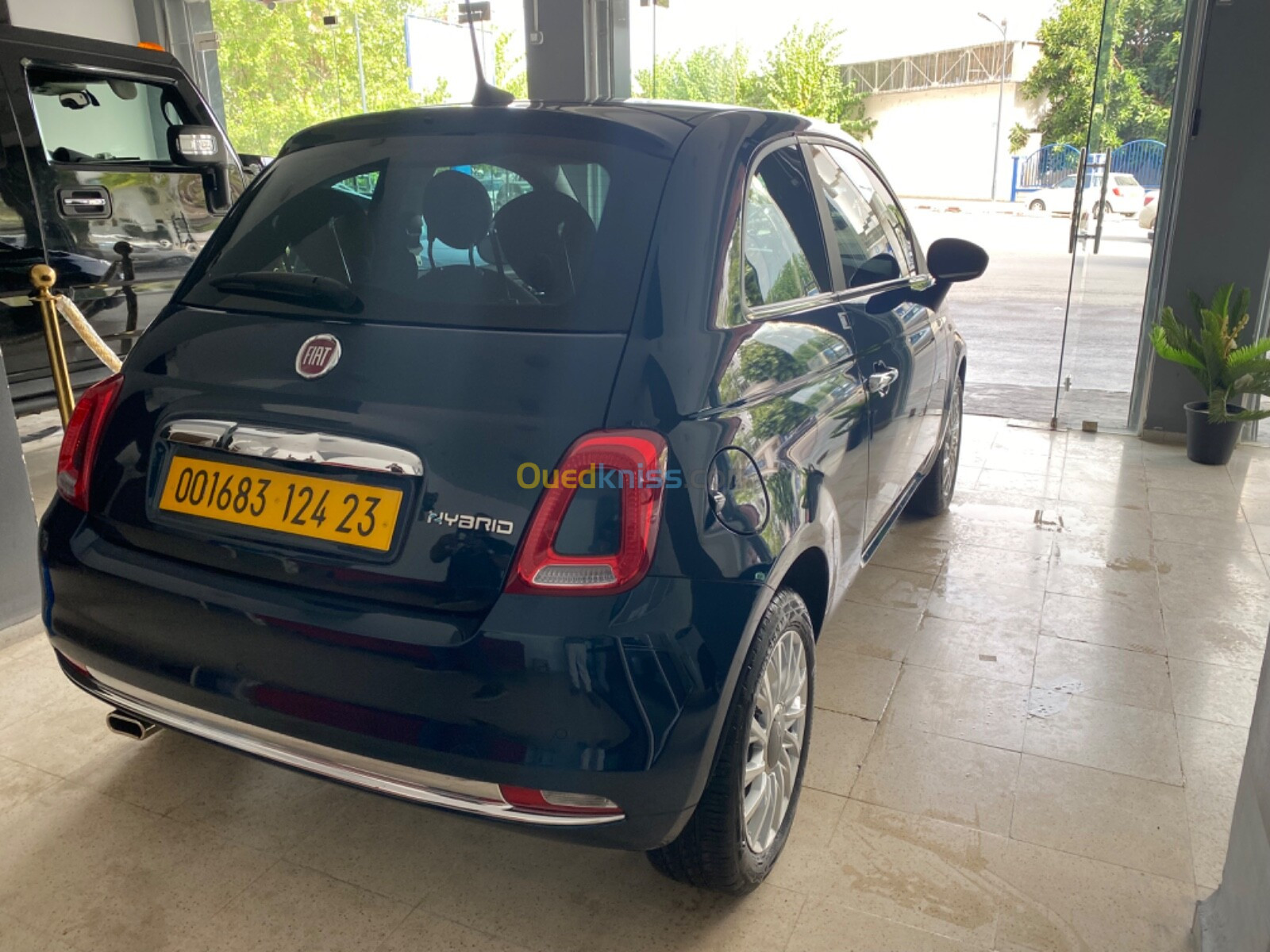 Fiat 500 2024 Club