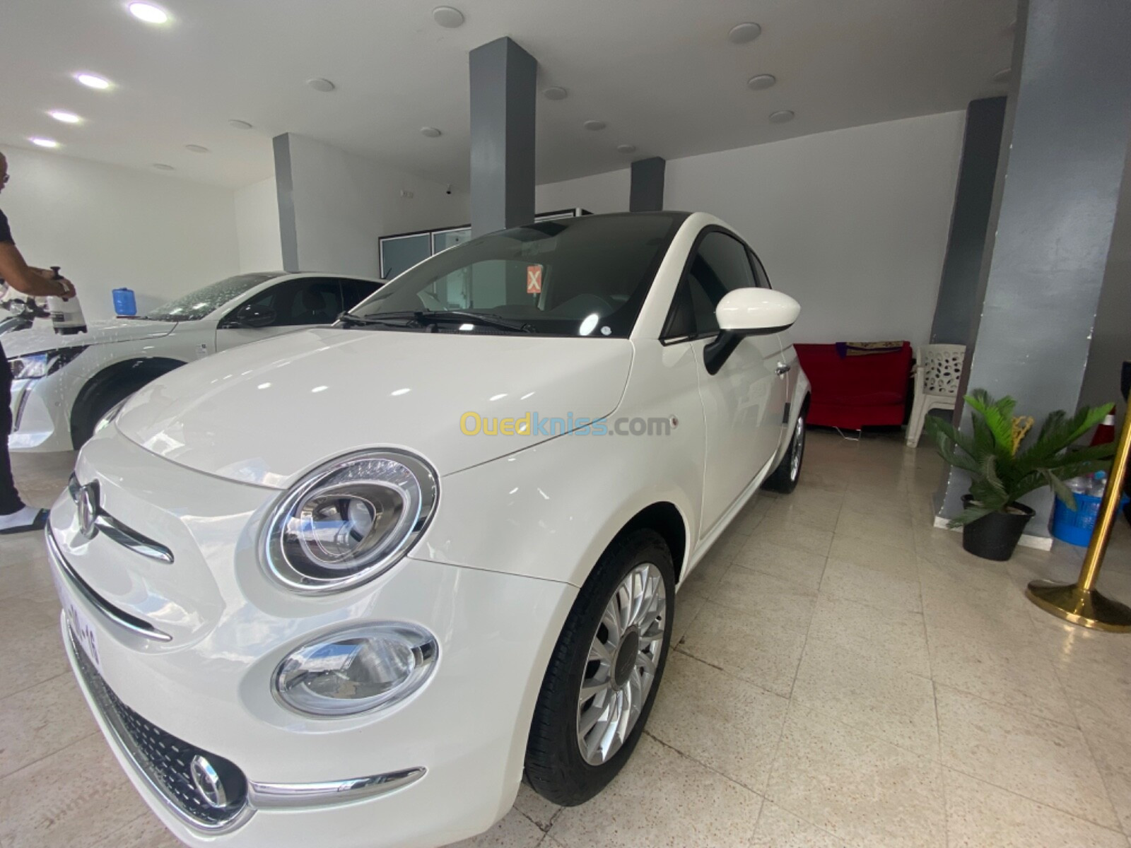 Fiat 500 2023 