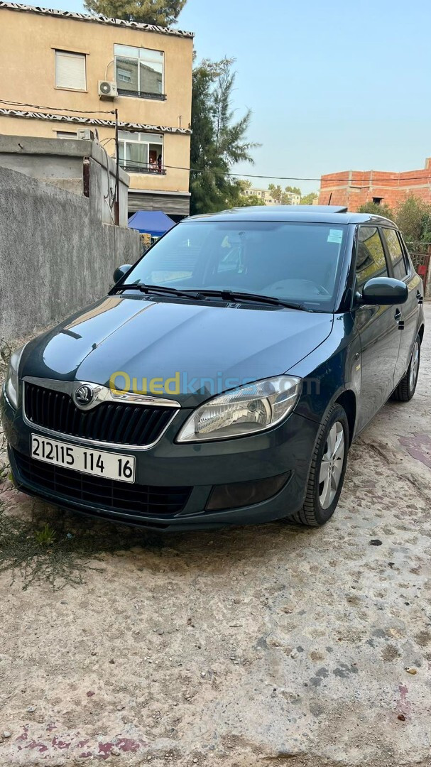 Skoda Fabia 2014 Fresh