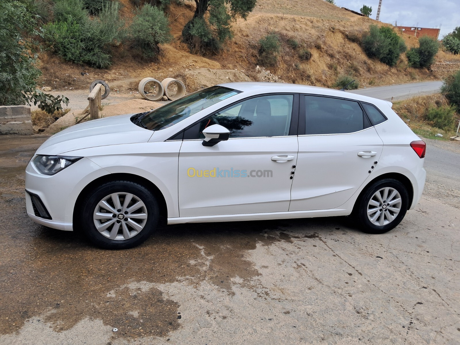 Seat Ibiza 2019 Style Facelift