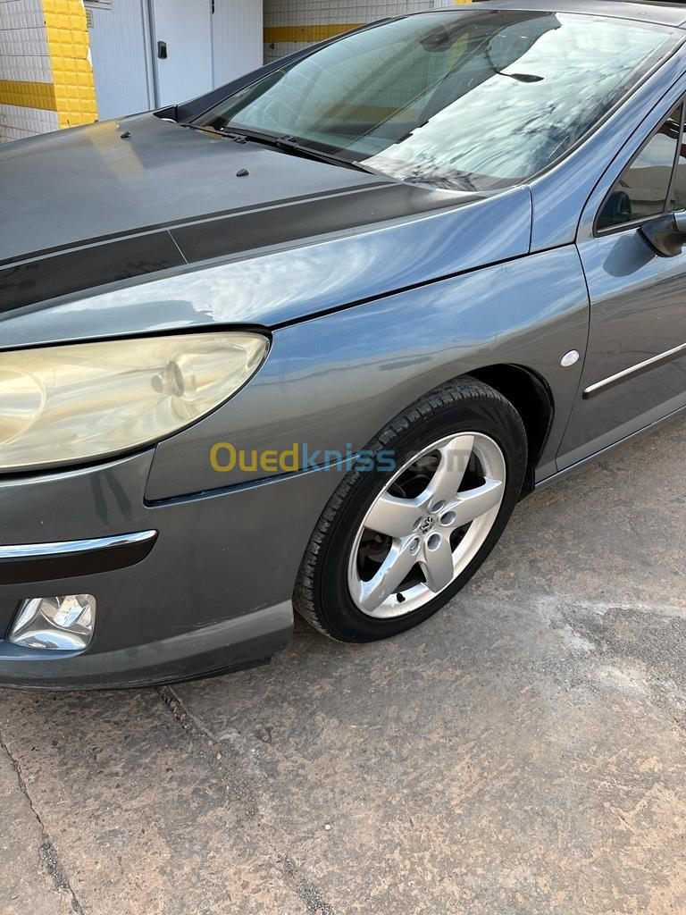 Peugeot 407 2006 407