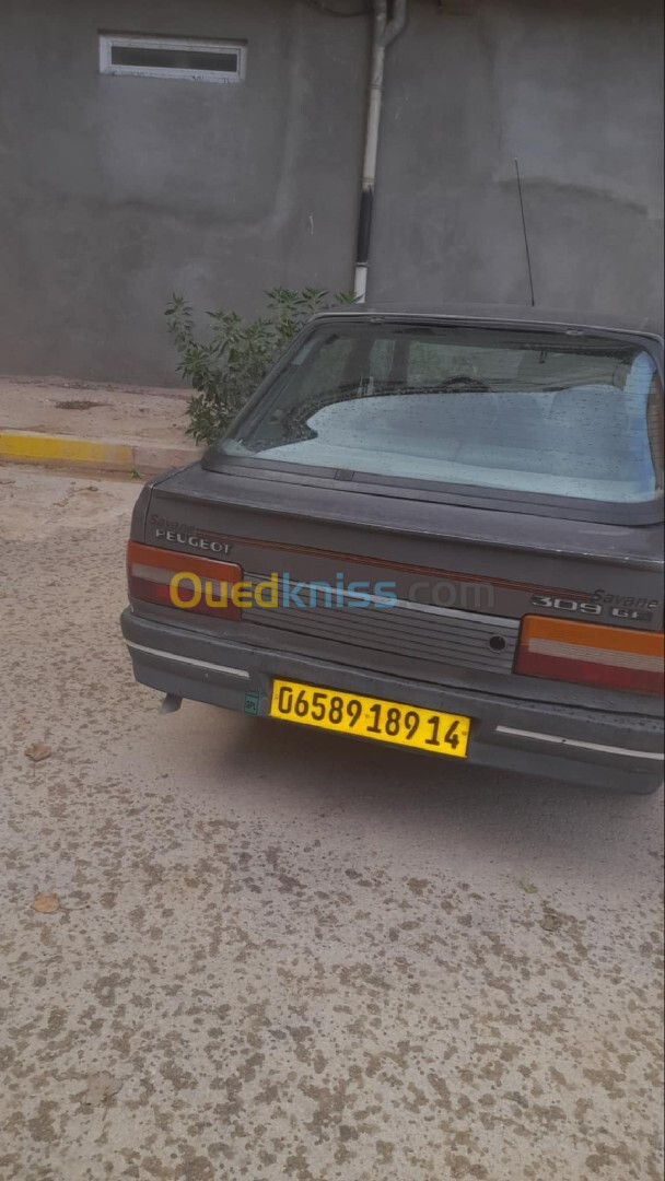 Peugeot 309 1989 309