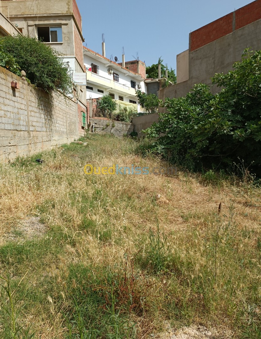 Vente Terrain Tipaza Cherchell