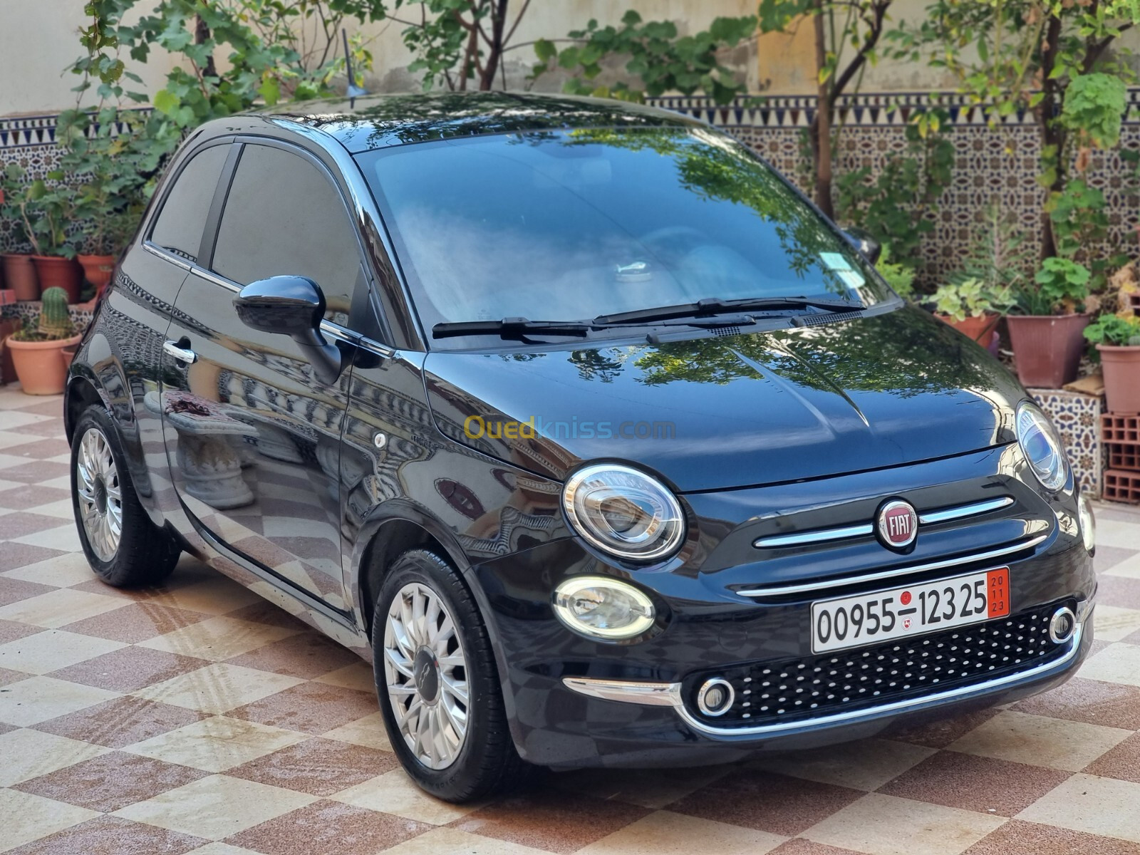 Fiat 500 2023 Club