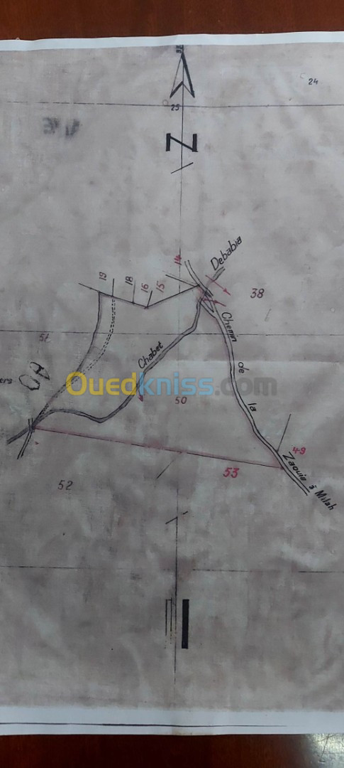 بيع أرض فلاحية ميلة سيدي مروان