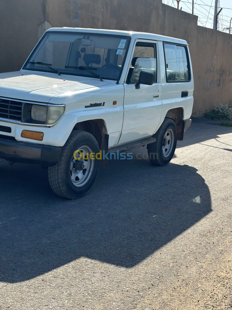 Toyota Land Cruiser 1995 Land Cruiser