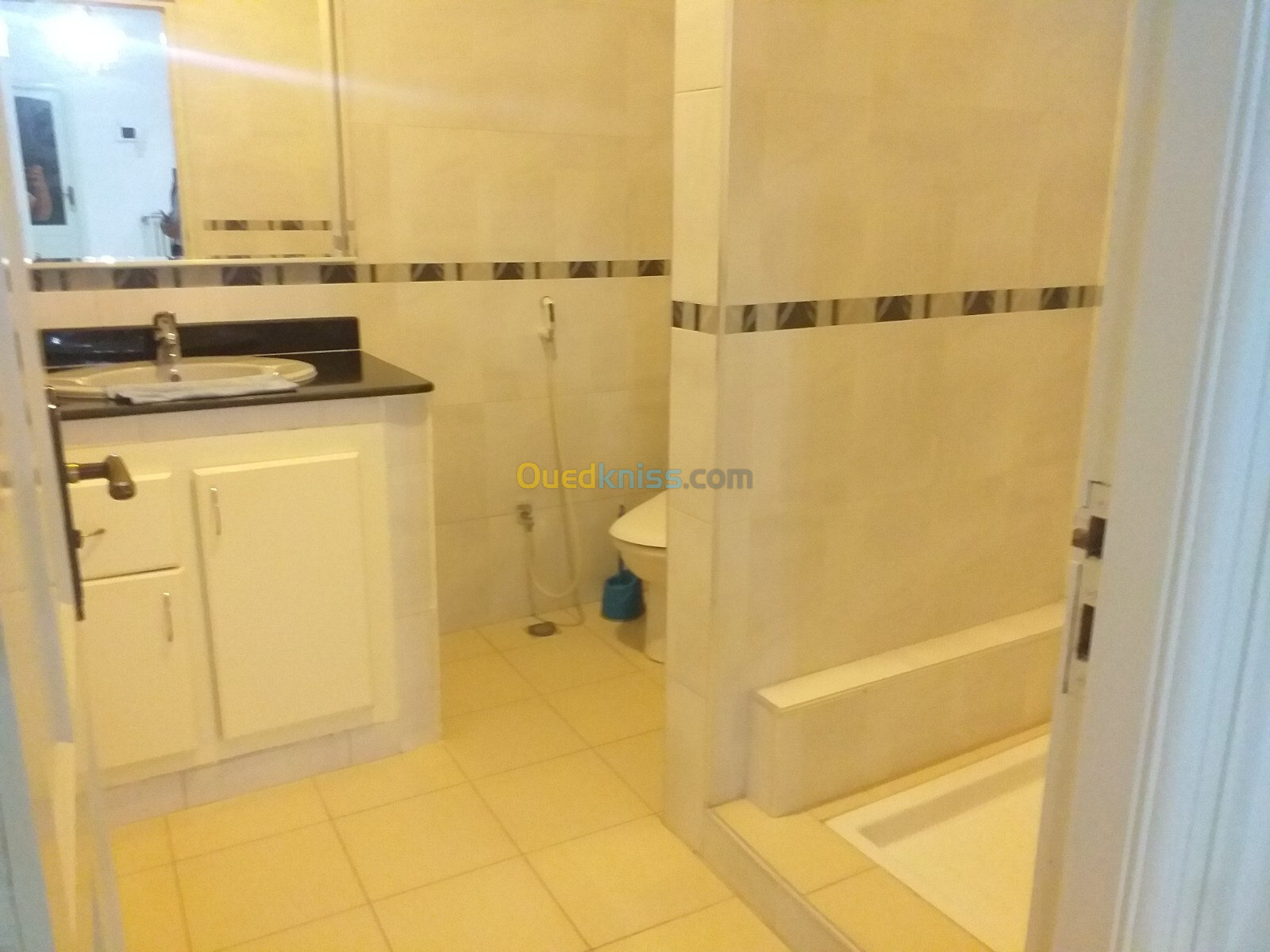 Location Niveau De Villa F8 Alger Birkhadem