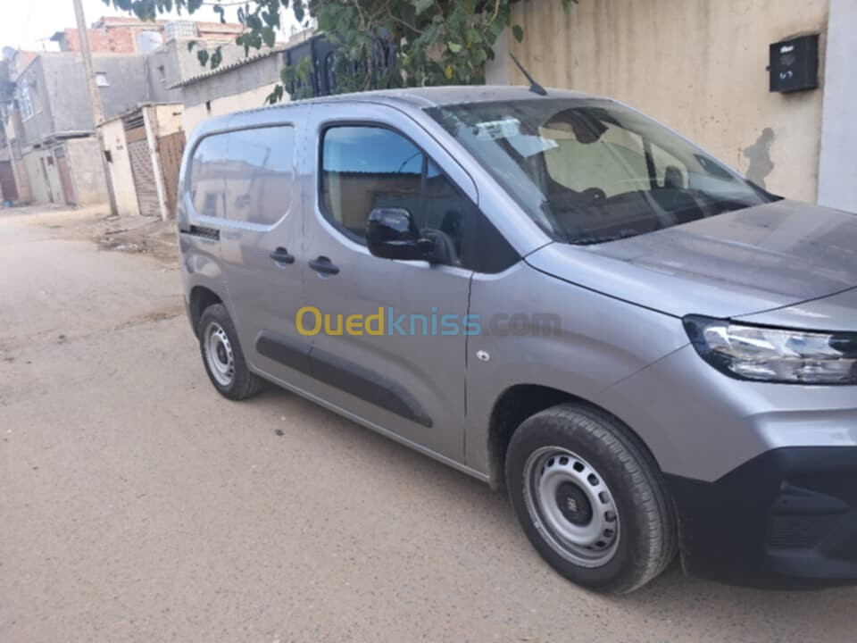 Fiat Professional Doblo 2024 Doblo