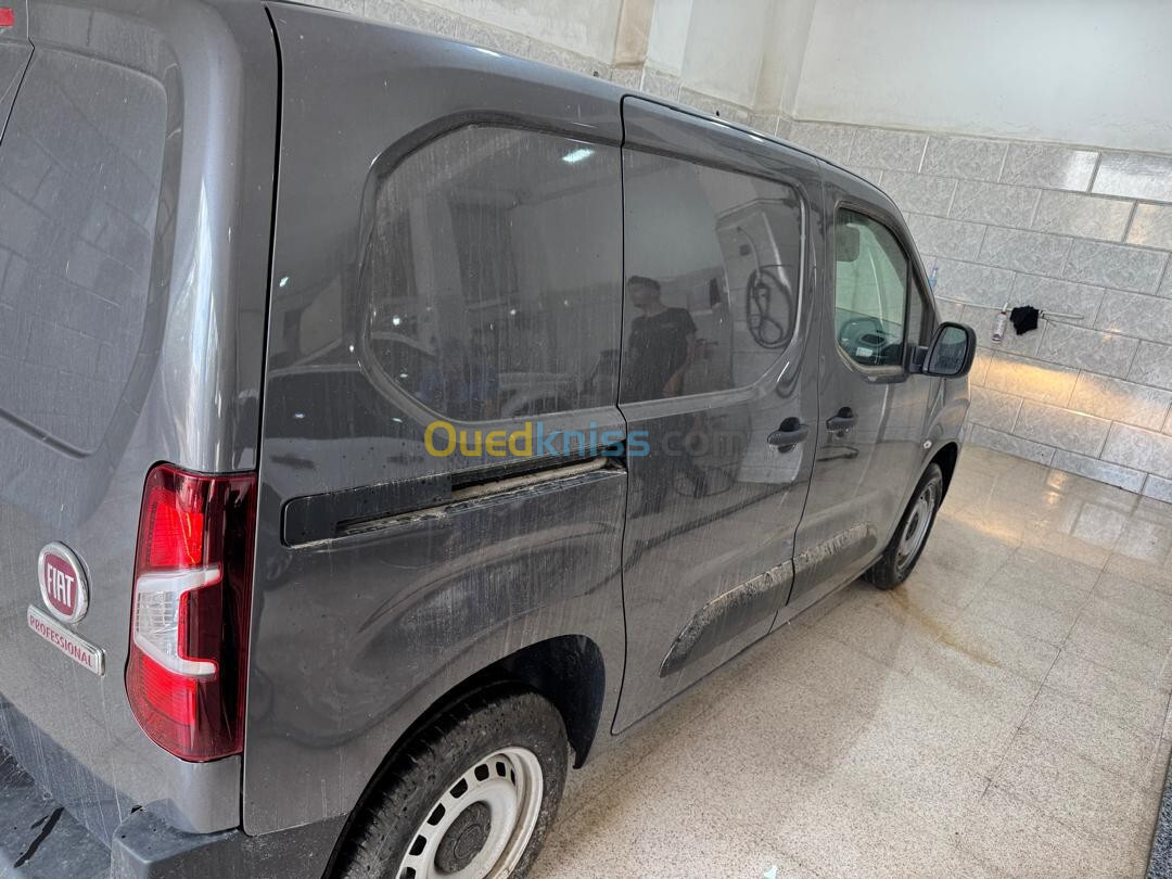 Fiat Professional Doblo 2024 