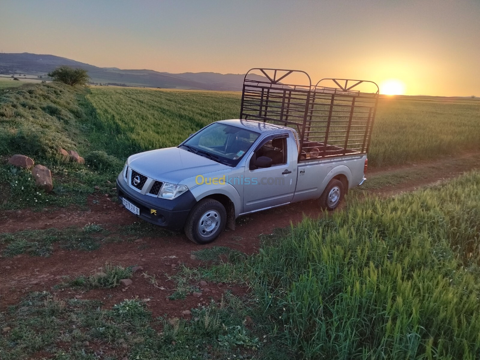 Nissan Navara 2016 Navara