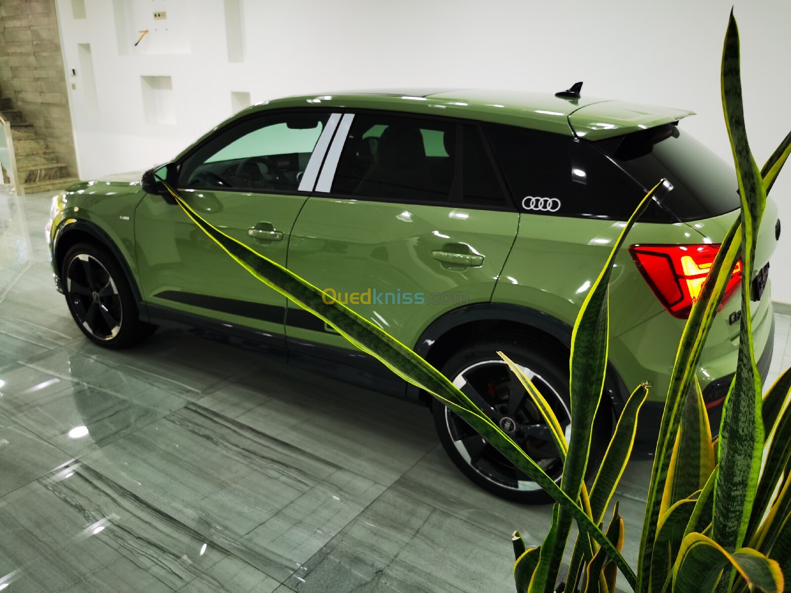 Audi Q2 2024 R-Line