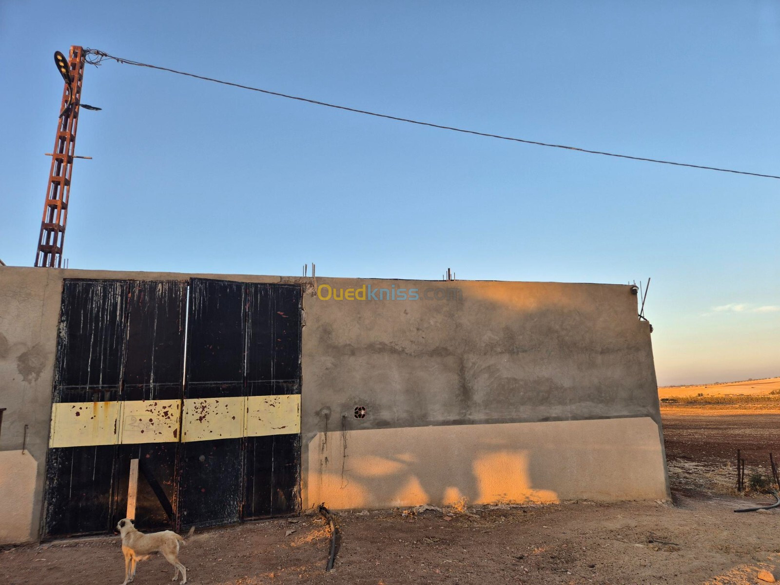 Location Terrain Agricole Sidi Bel Abbès Sidi lahcene