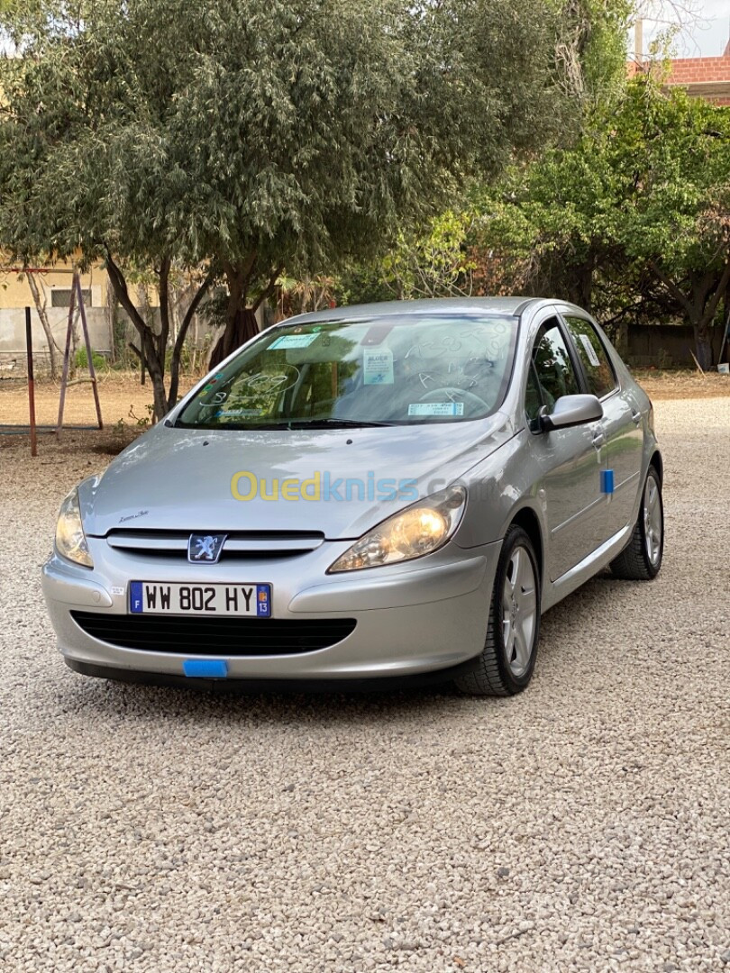 Peugeot 307 2006 307