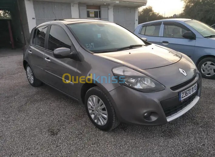 Renault Clio 3 2011 Night and Day