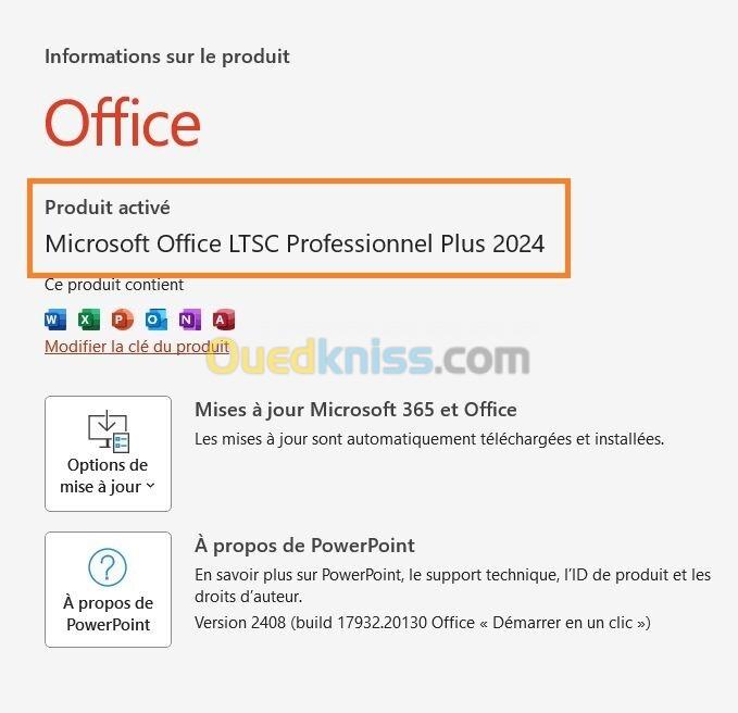 Microsoft Office 2024 Pro Plus LTSC 50, 500,5000 users