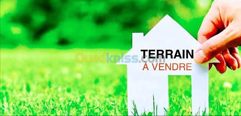 Vente Terrain Mila Mila