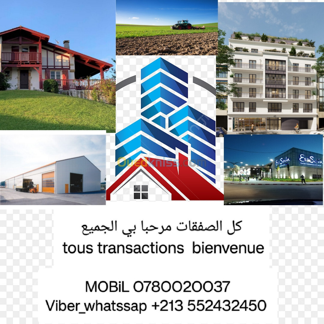 Cherche achat bien immobilier Alger Birtouta