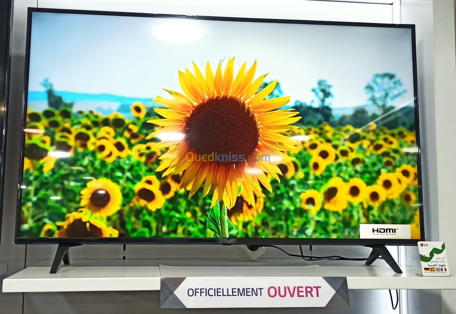 Téléviseur LG 55 pouces LED 4K Smart 