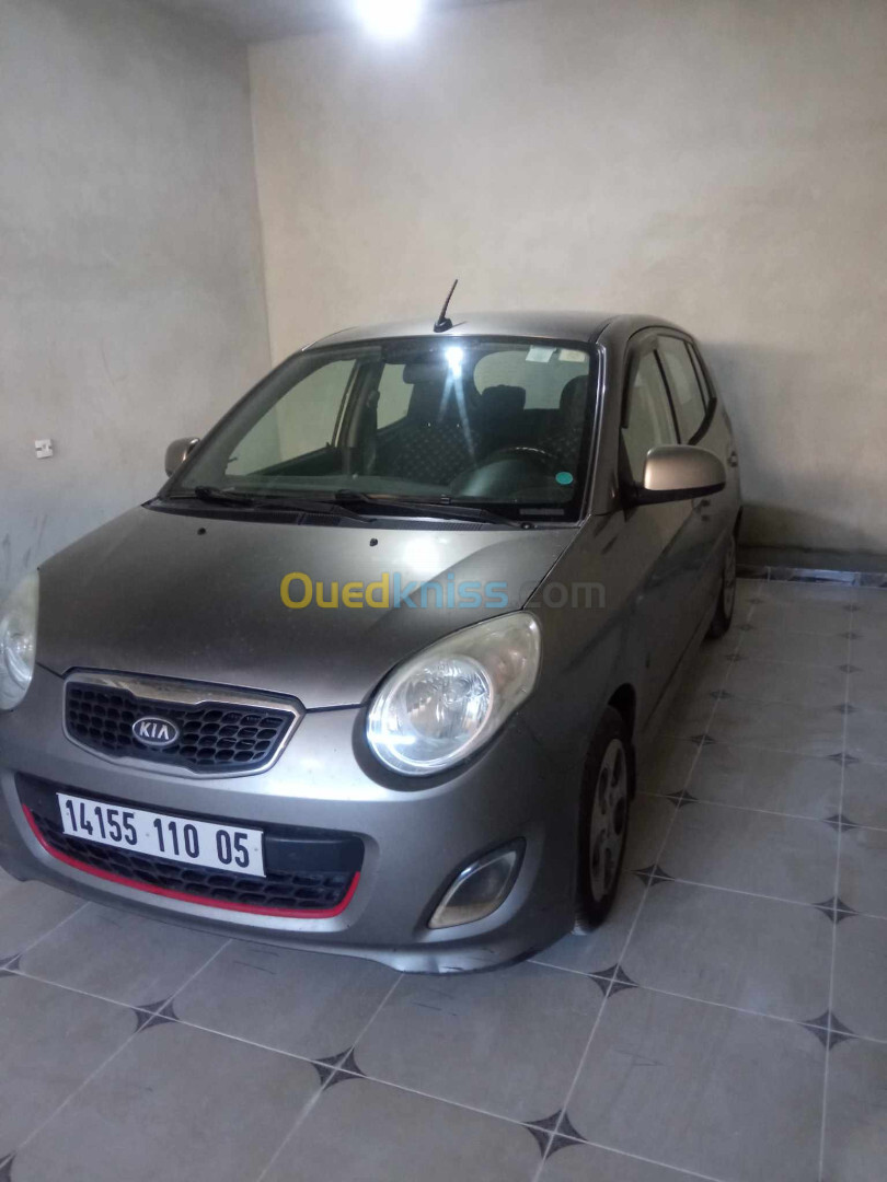 Kia Picanto 2010 fani