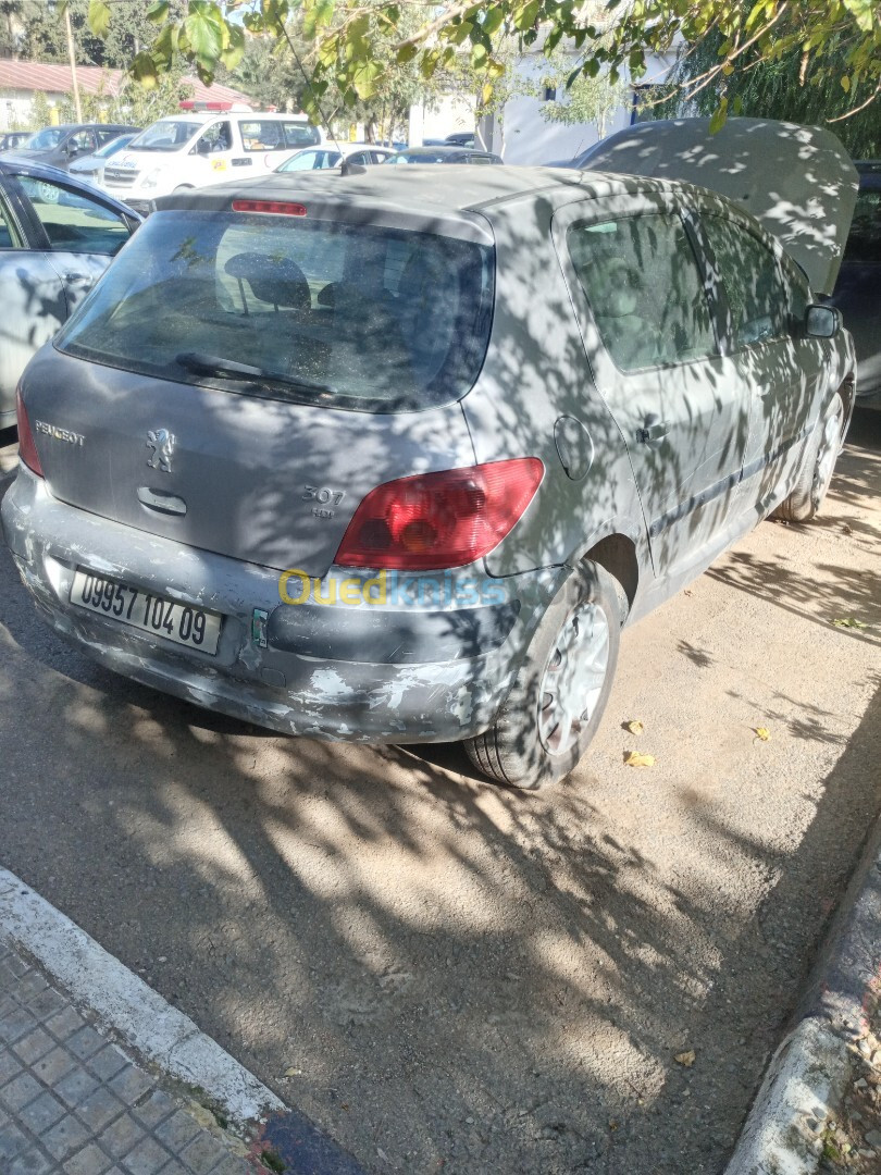 Peugeot 307 2004 307