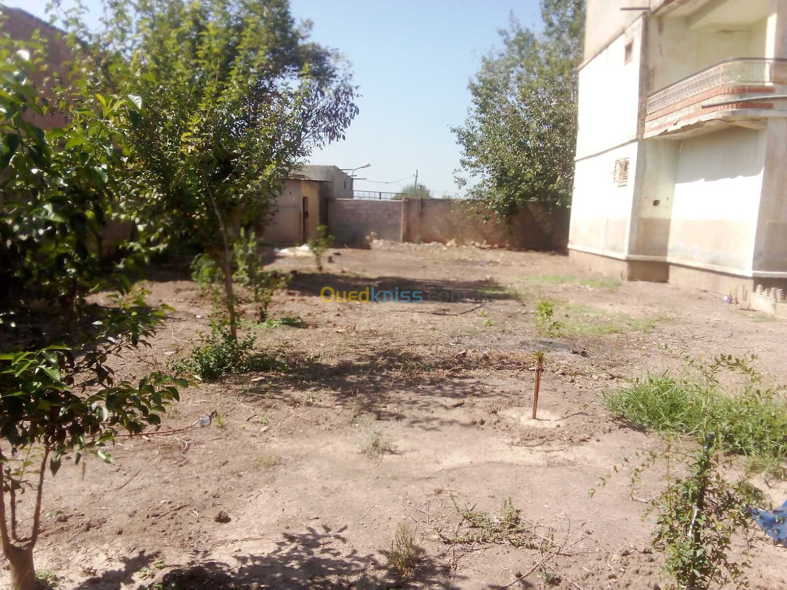 Vente Villa Blida Chebli