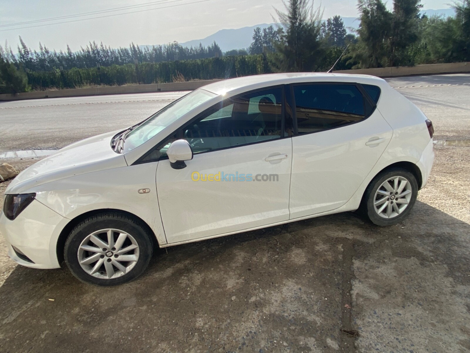 Seat Ibiza 2014 Fully