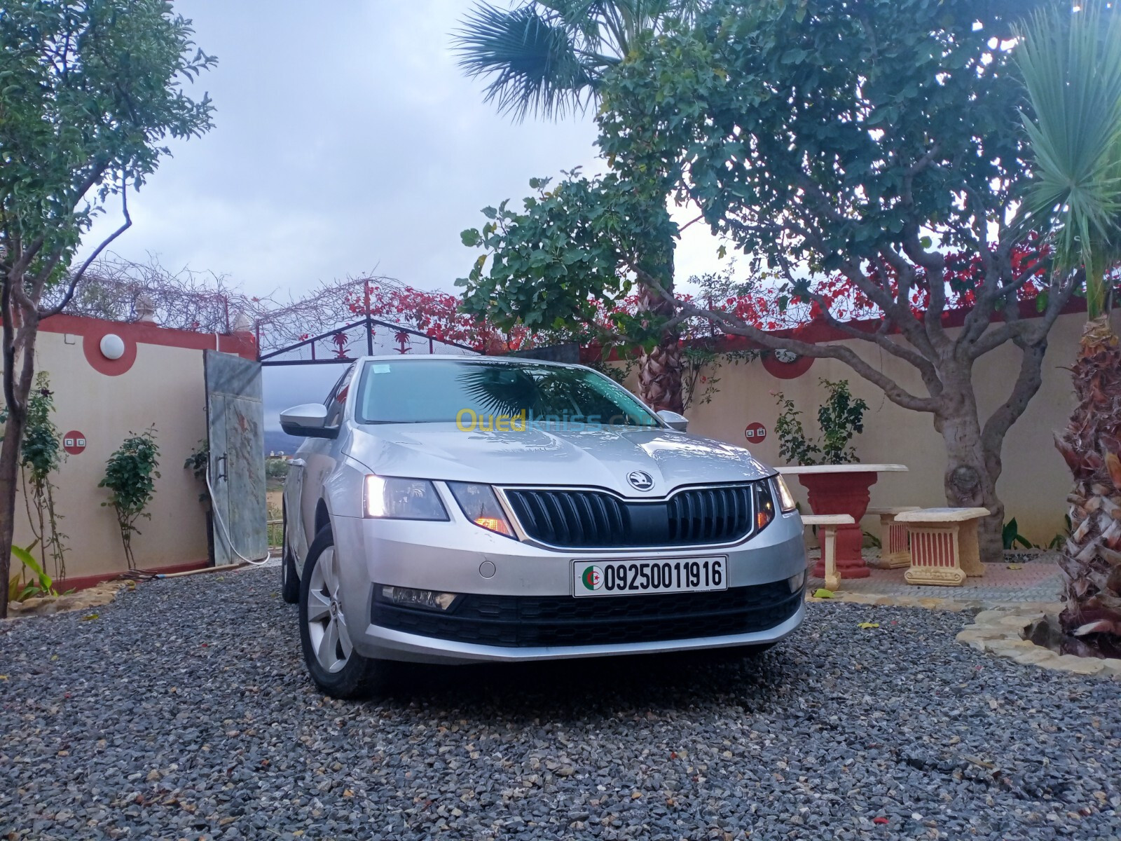 Skoda Octavia Combi 2019 Octavia Combi