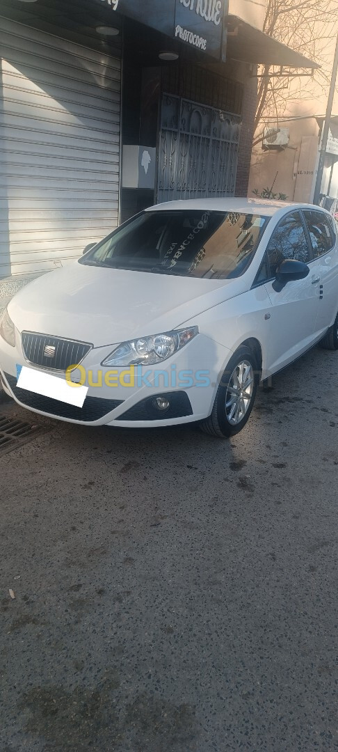 Seat Ibiza 2011 Loca