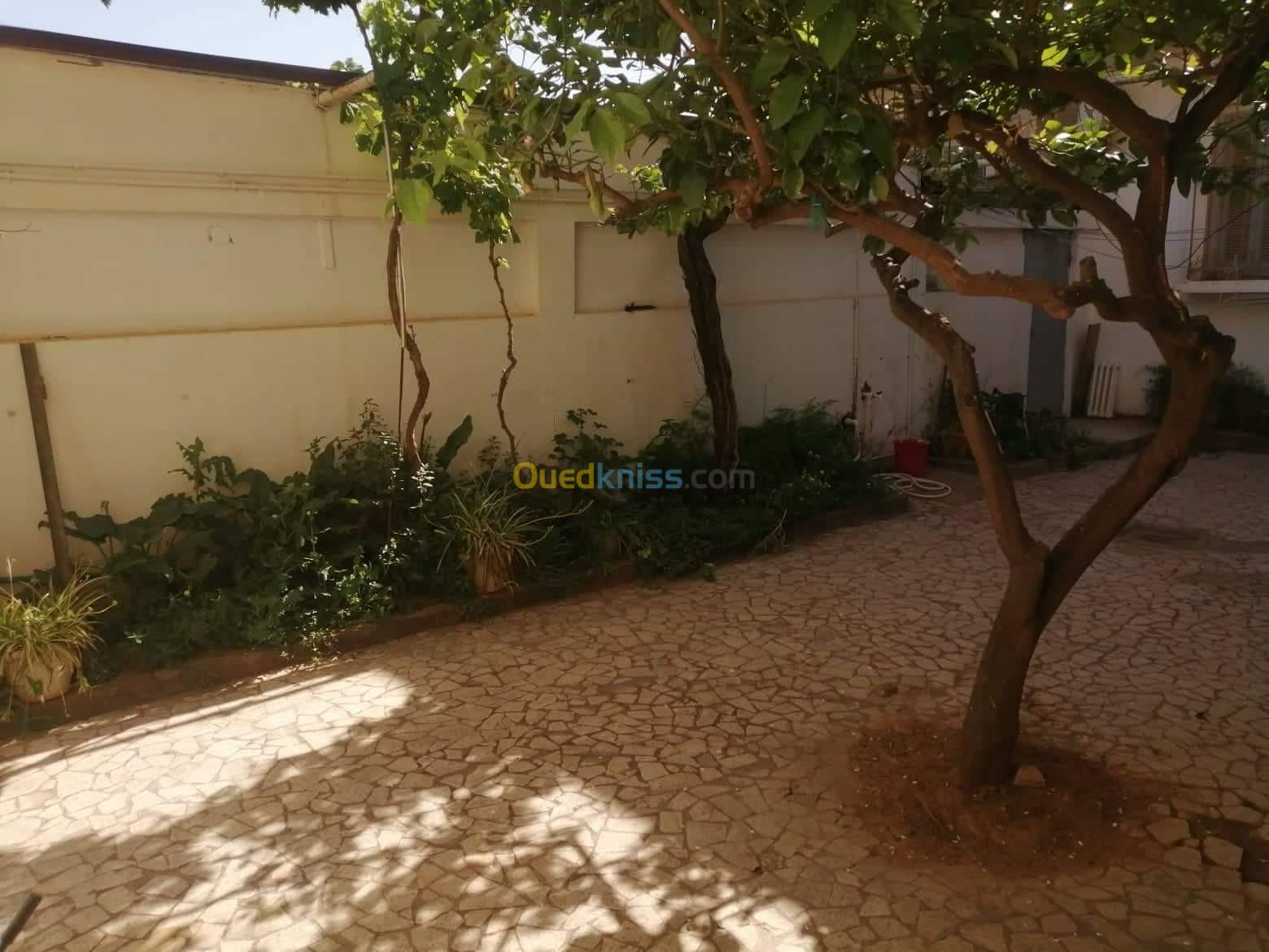 Vente Niveau De Villa F7 Chlef Chlef