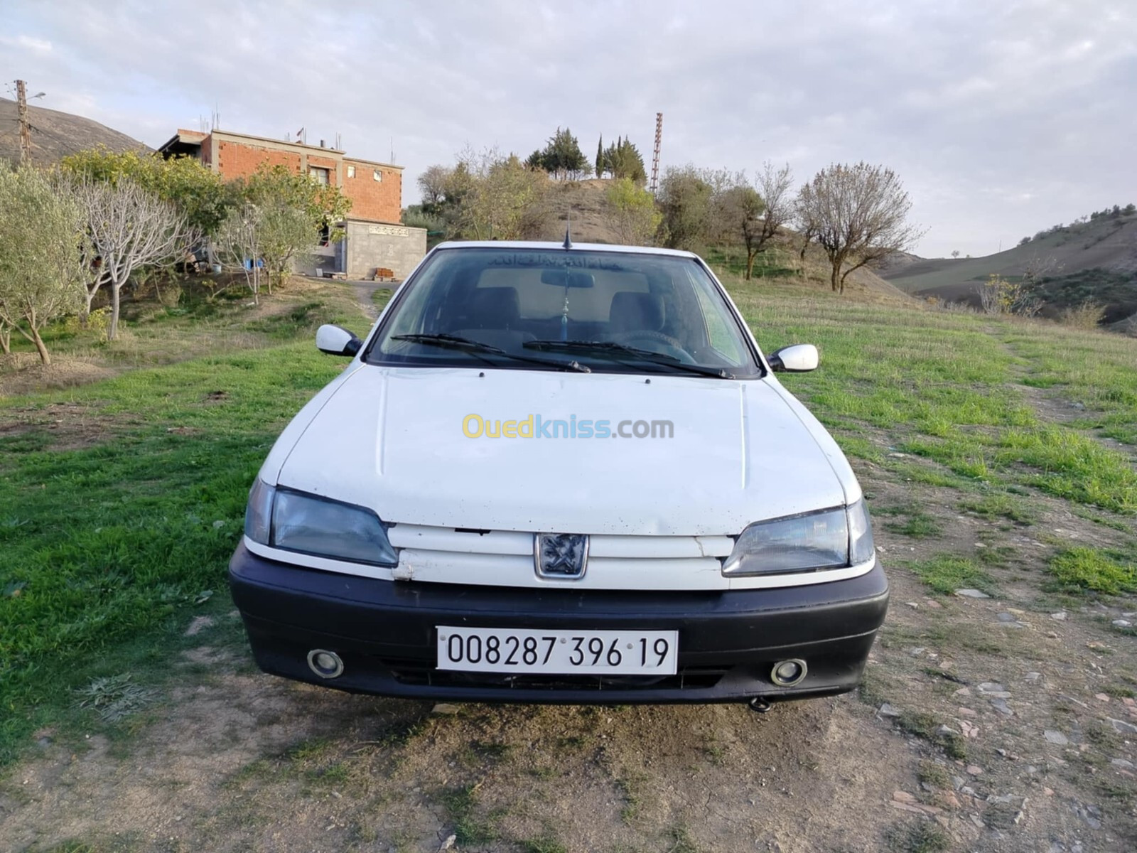 Peugeot 306 1996 306