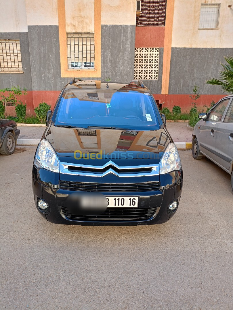 Citroen Berlingo 2010 Berlingo