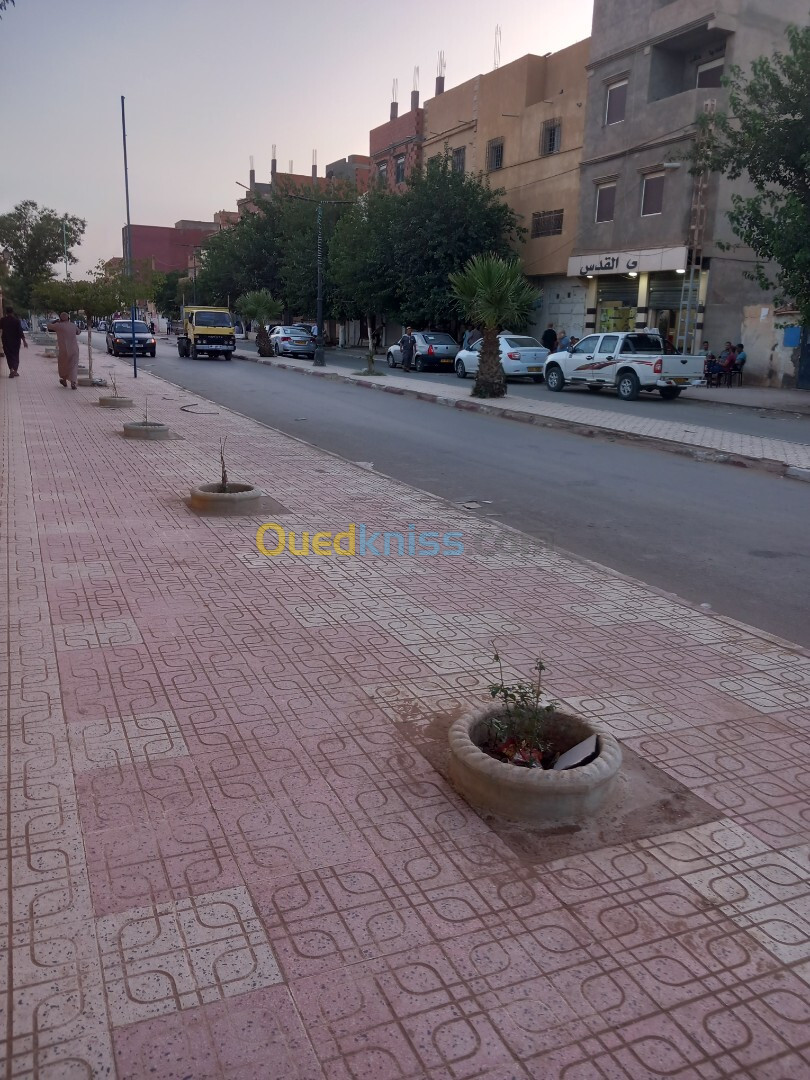 Vente Villa Laghouat Aflou