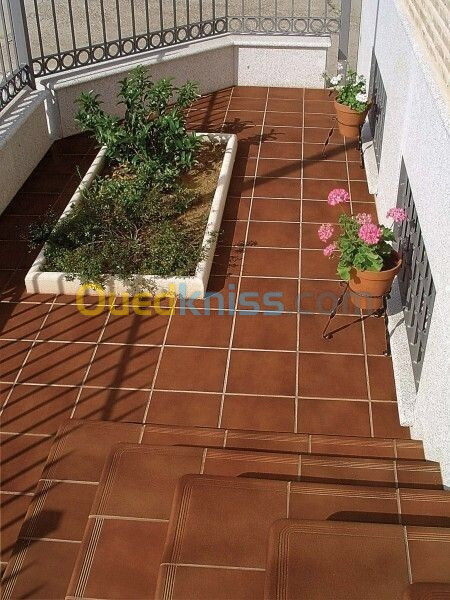 Vente Villa Alger Draria