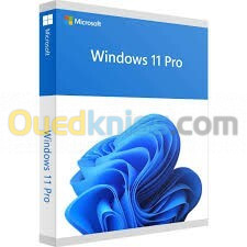 Windows 10 / 11 pro