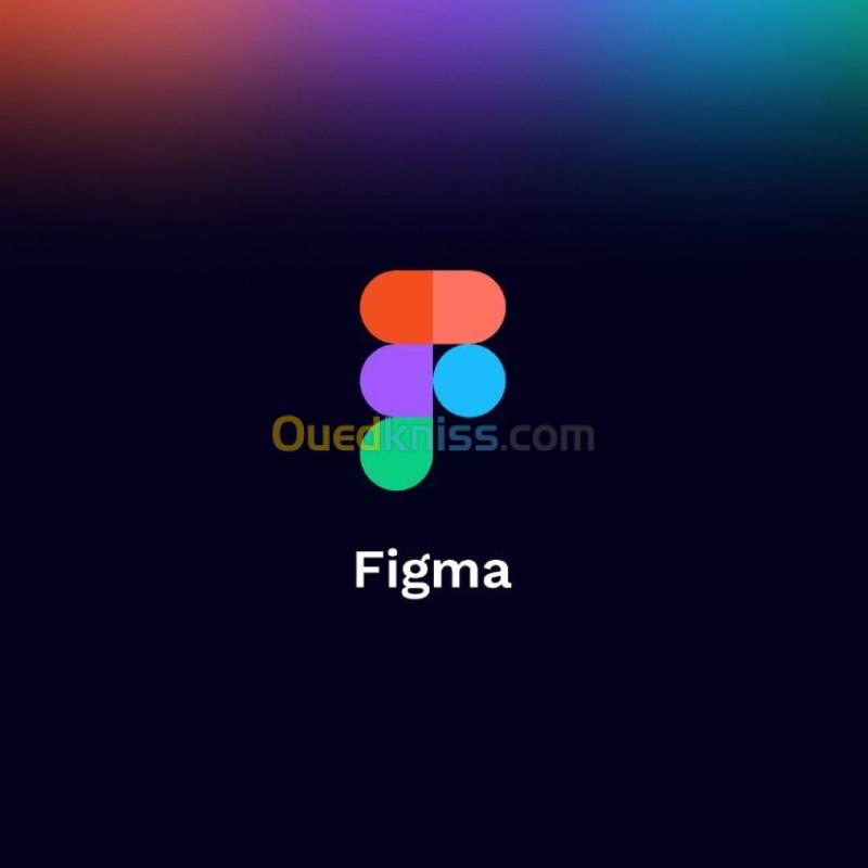 Figma 4 Year { Professional plan } 