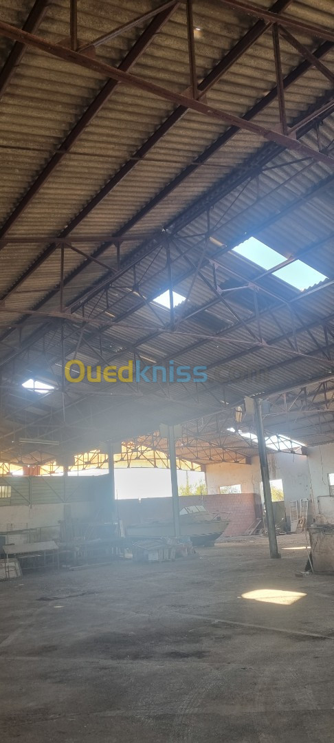 Vente Hangar Sidi Bel Abbès Sidi bel abbes