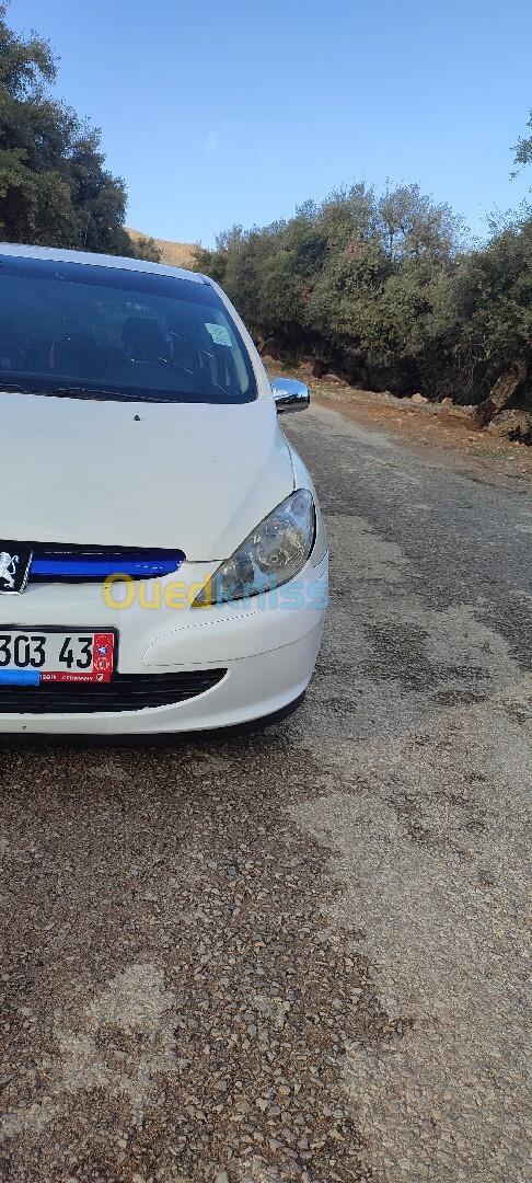 Peugeot 307 2003 307