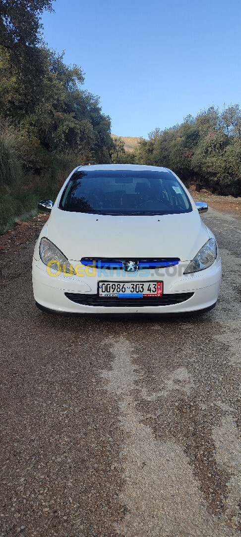 Peugeot 307 2003 307