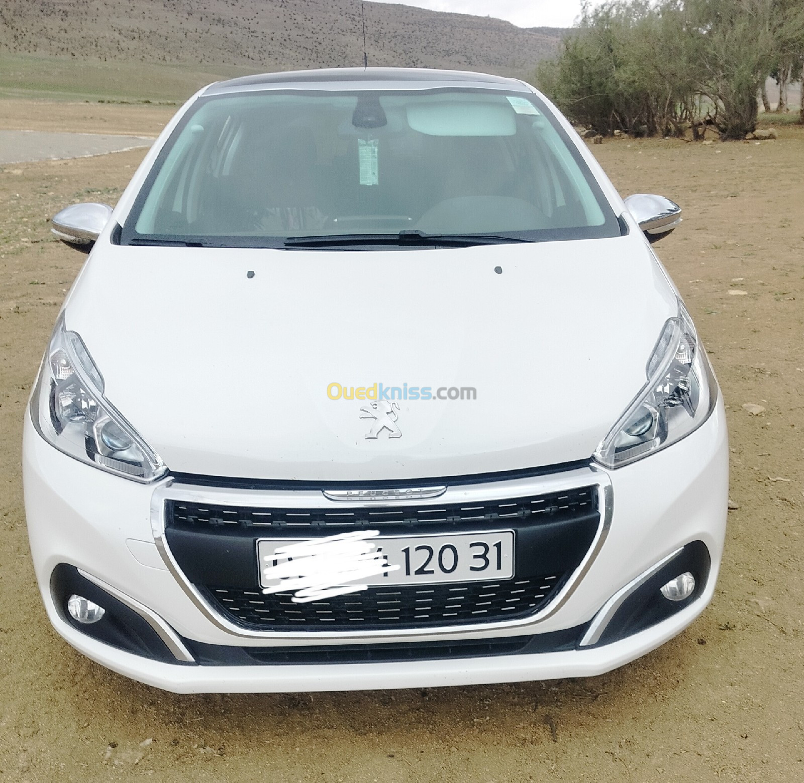 Peugeot 208 2020 208