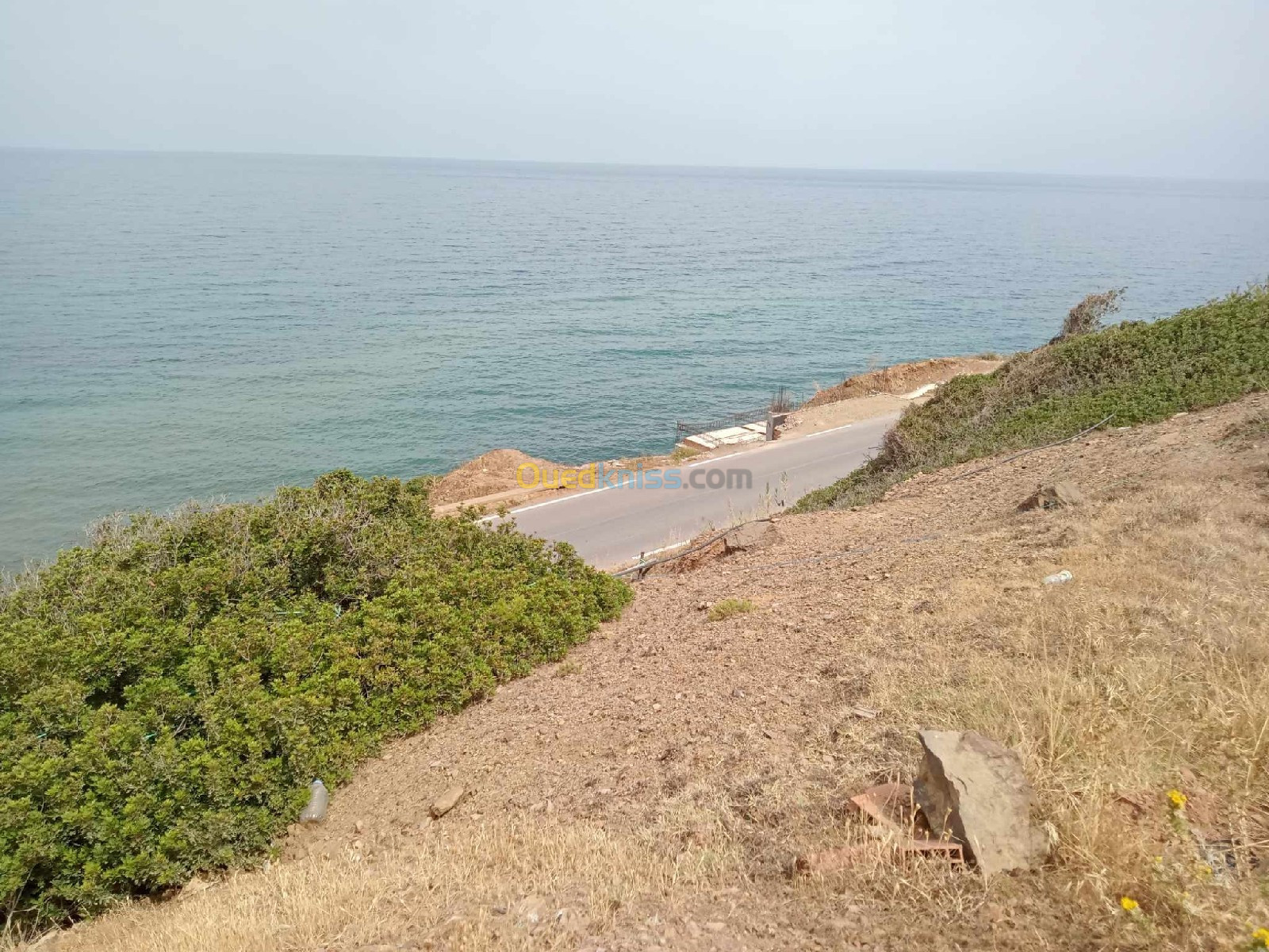 Vente Terrain Tipaza Cherchell