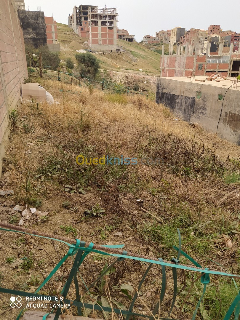 Vente Terrain Alger Douera