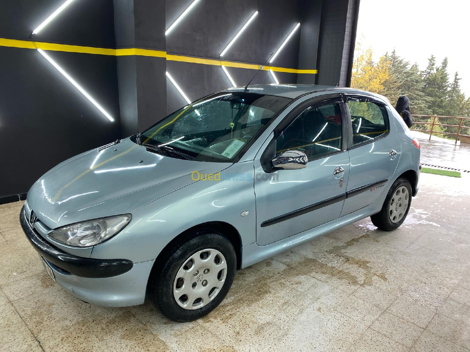 Peugeot 206 2004 206