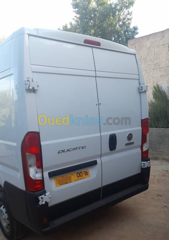 Fiat Ducato double lam 2024