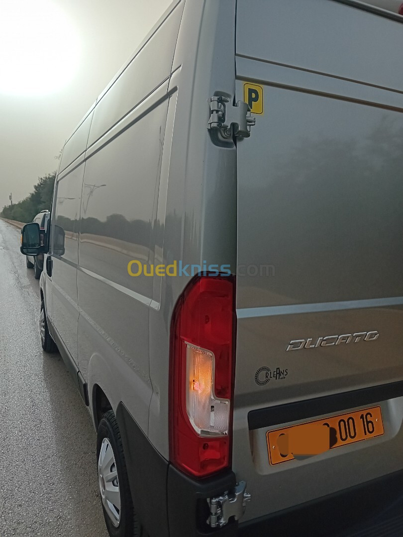 Fiat Ducato 2 panneau 2024