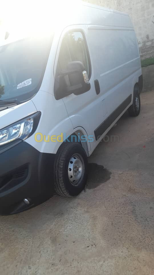 Fiat Ducato double lam 2024