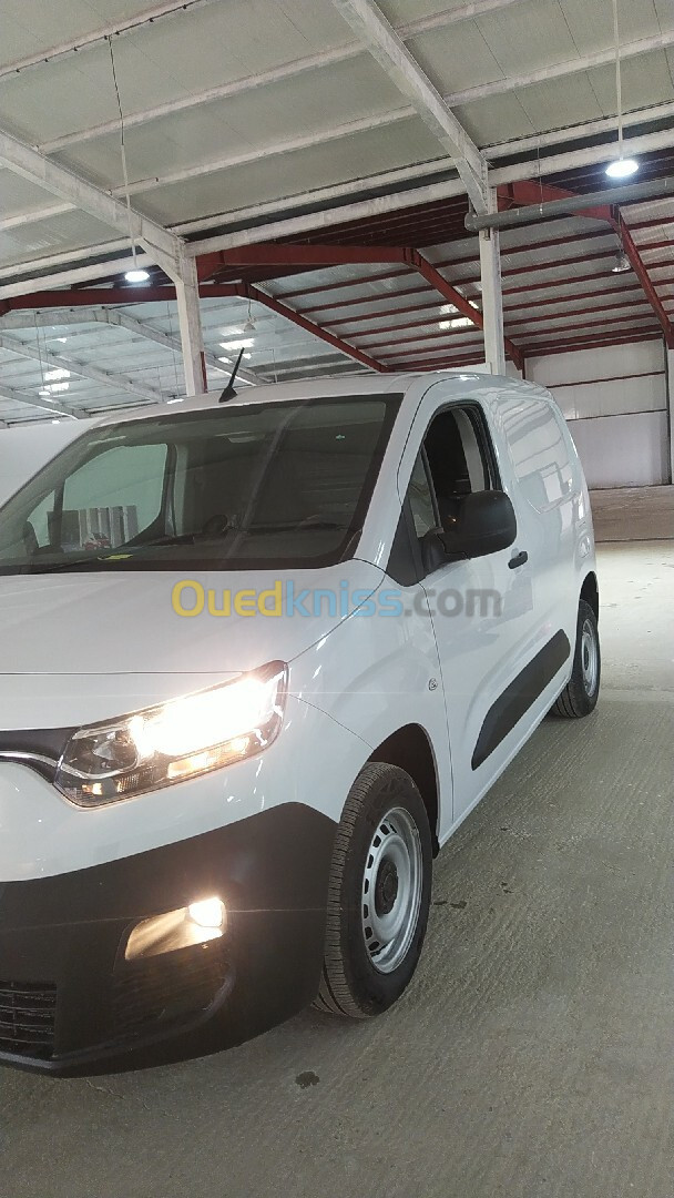 Fiat Doblo 2024 PROFESSlOnaL