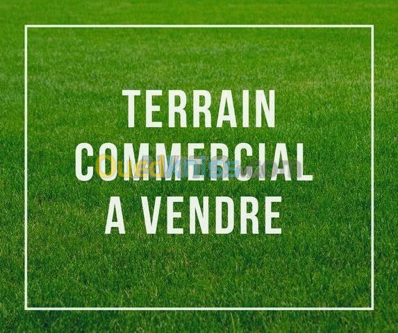 Vente Terrain Alger Birkhadem