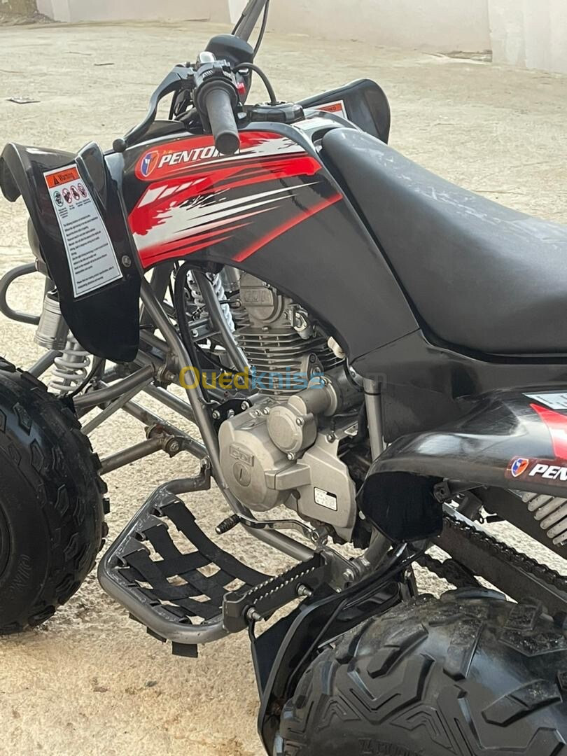 Vms Raptor 250 2023